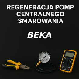 Regeneracja pomp BEKA