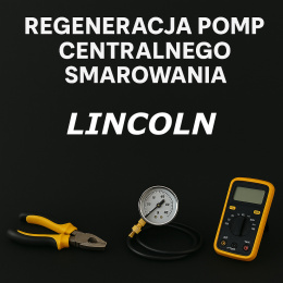 Regeneracja pomp LINCOLN